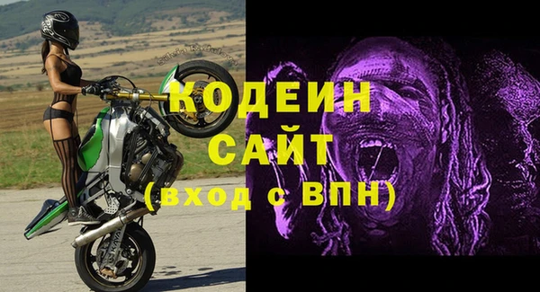 гидра Богородск
