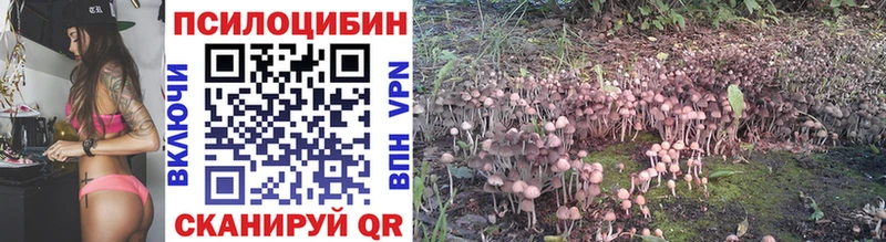 Псилоцибиновые грибы Psilocybine cubensis  Заринск 